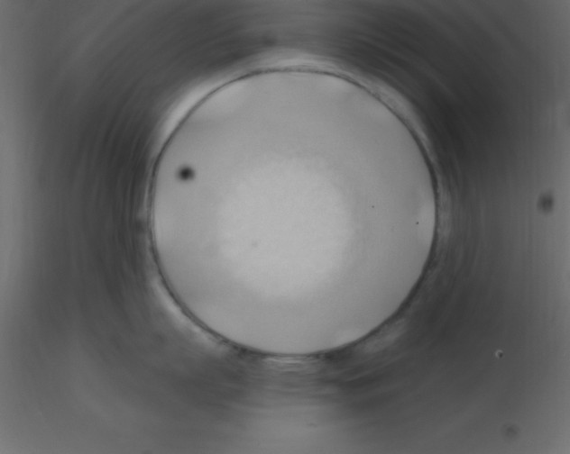 X0000115790863200912241830