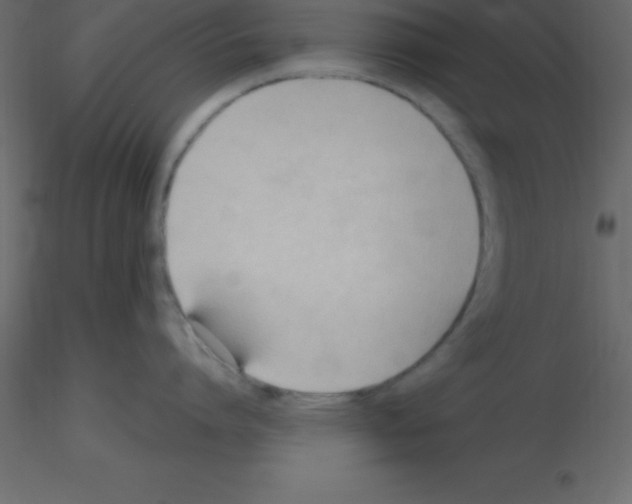 X0000115790864200912241830