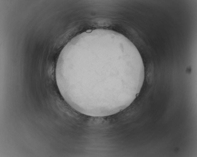 X0000115790866200912241829