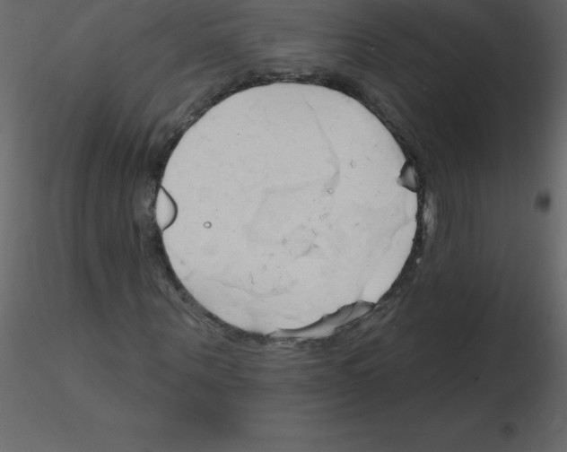 X0000115790867200912241829