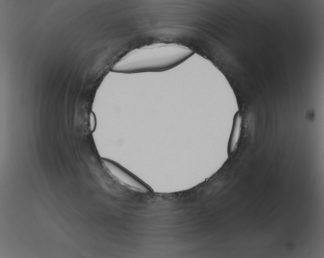 X0000115790868200912241829