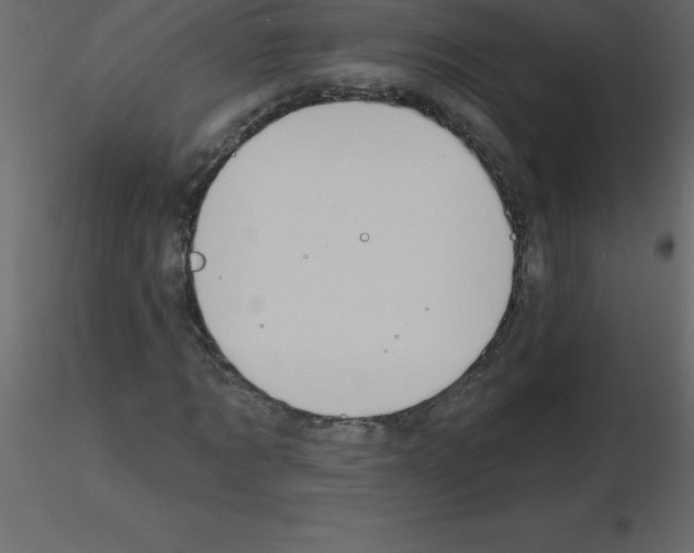 X0000115790869200912241829