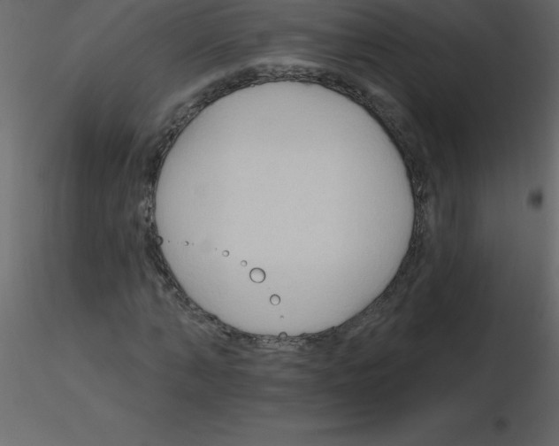 X0000115790870200912241829