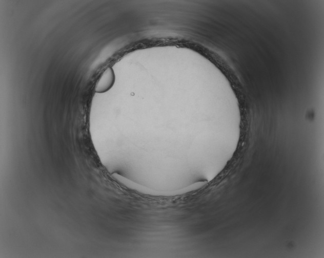 X0000115790871200912241829