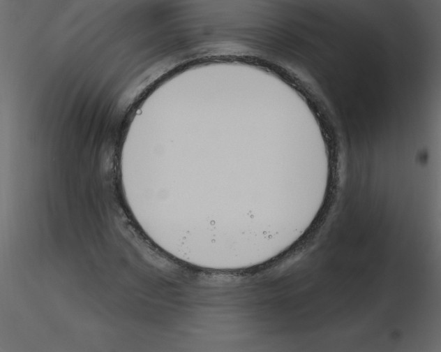 X0000115790873200912241829