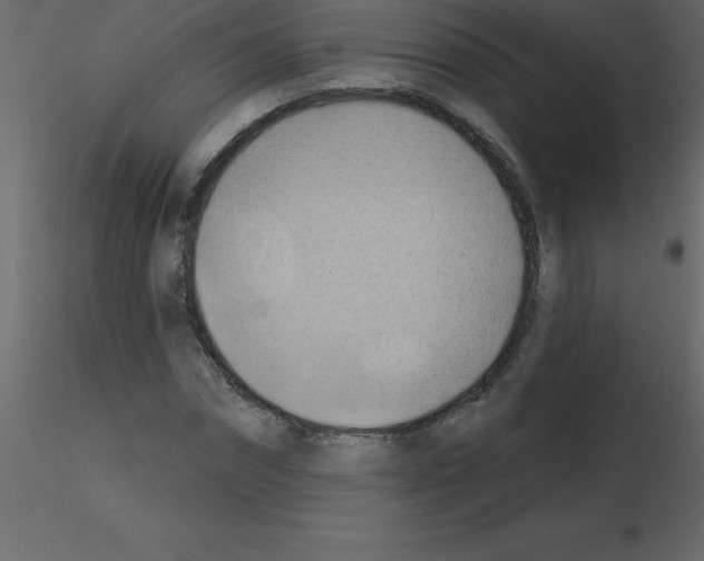 X0000115790874200912241829