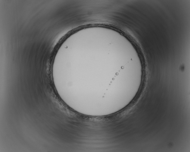 X0000115790875200912241829