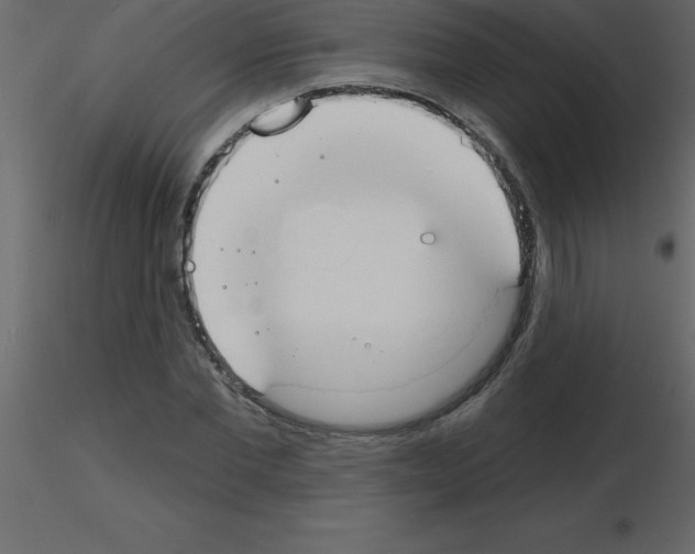 X0000115790877200912241829