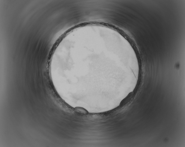 X0000115790879200912241829