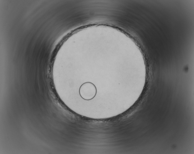 X0000115790880200912241829