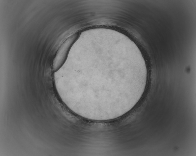 X0000115790881200912241829