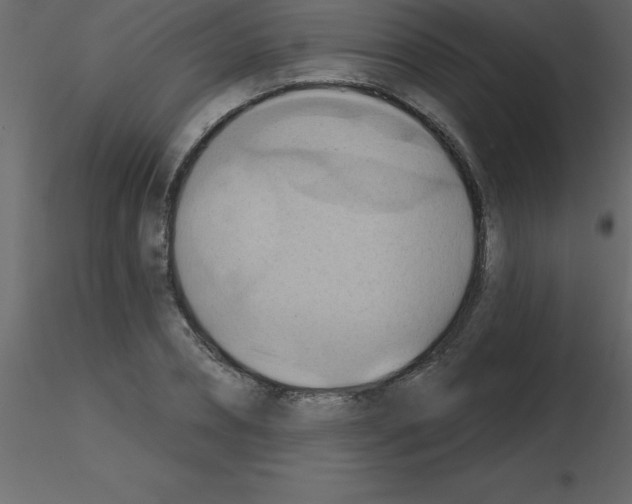 X0000115790882200912241829