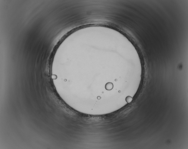 X0000115790883200912241829