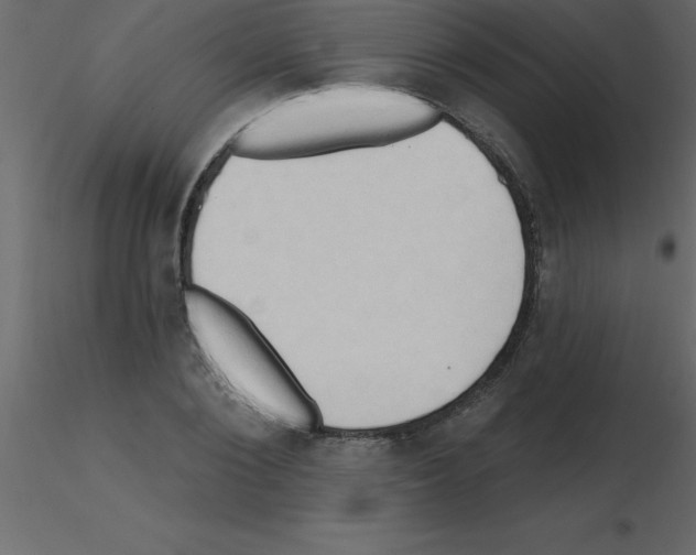X0000115790884200912241829