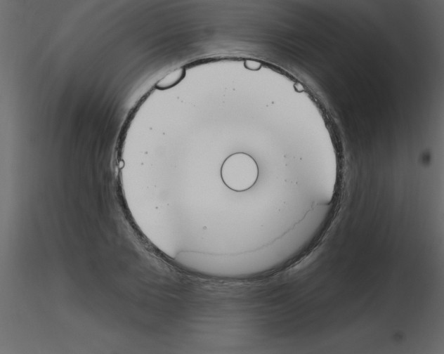X0000115790885200912241829