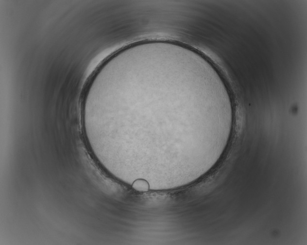 X0000115790886200912241829