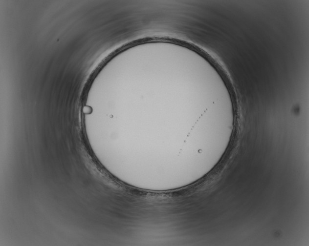 X0000115790887200912241829