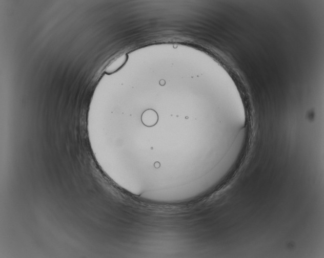 X0000115790889200912241829