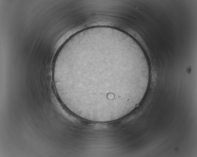 X0000115790890200912241829