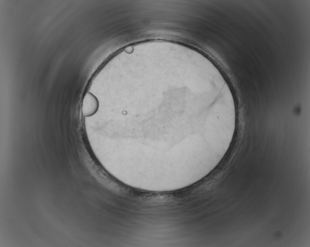 X0000115790891200912241829