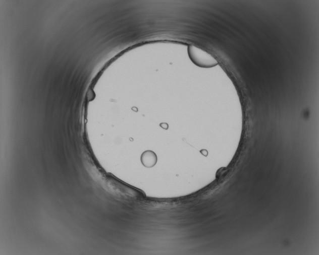 X0000115790892200912241829