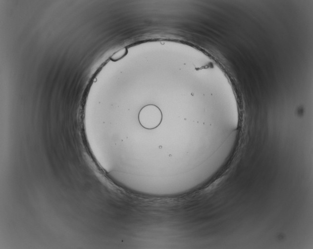X0000115790893200912241829