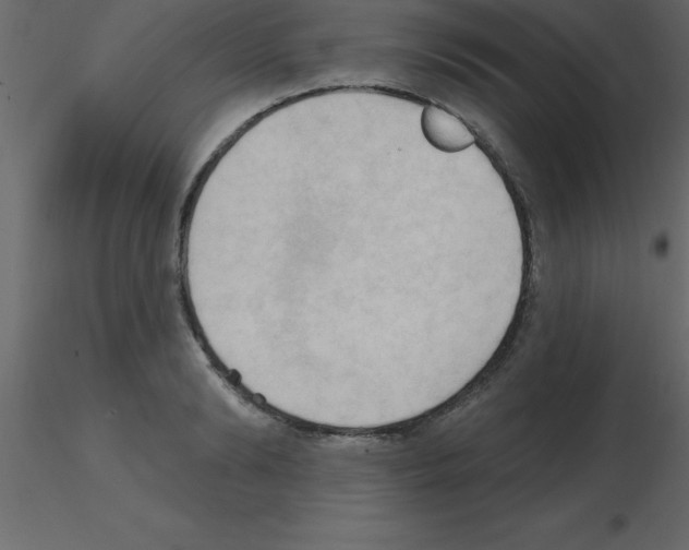 X0000115790894200912241829