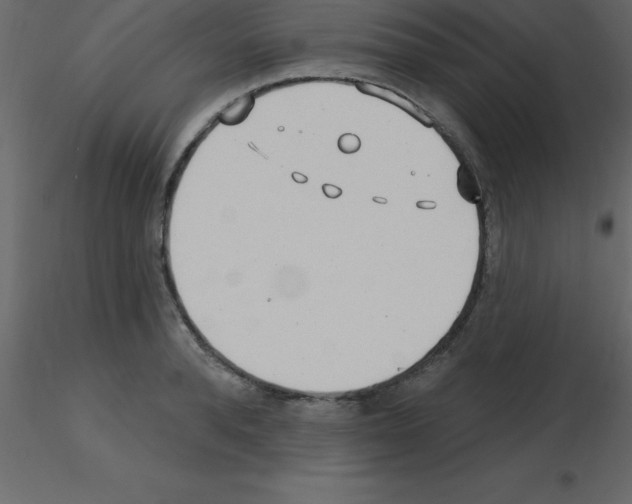 X0000115790896200912241829