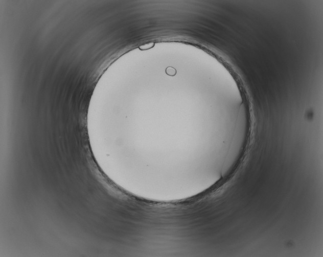 X0000115790897200912241829