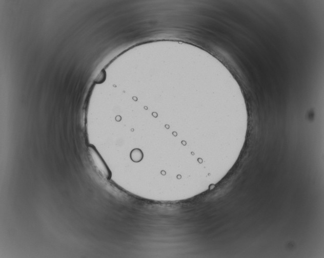 X0000115790900200912241829