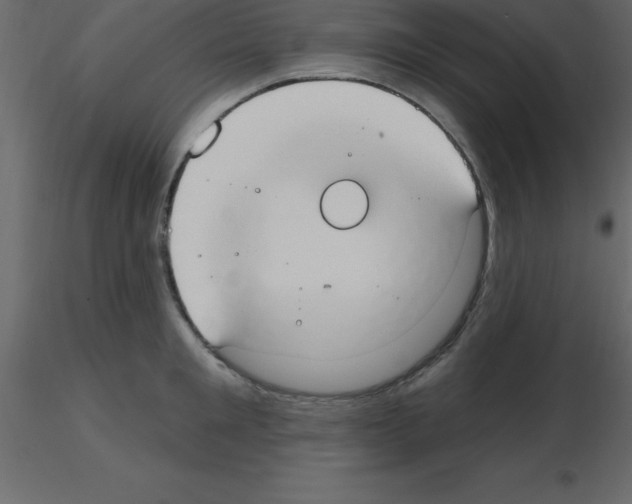 X0000115790901200912241829