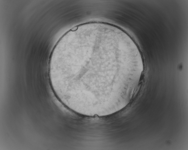 X0000115790903200912241829
