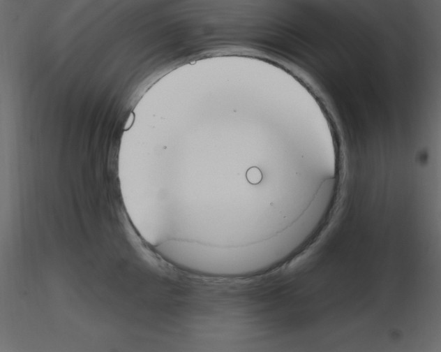 X0000115790905200912241829