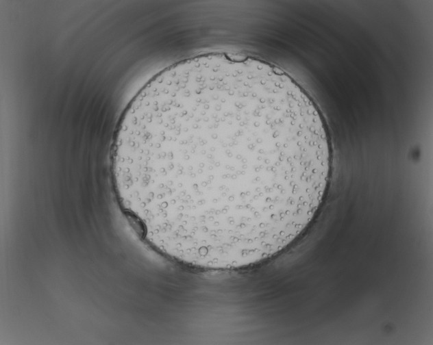 X0000115790906200912241829