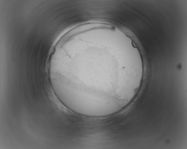 X0000115790908200912241829