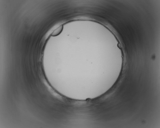 X0000115790909200912241829