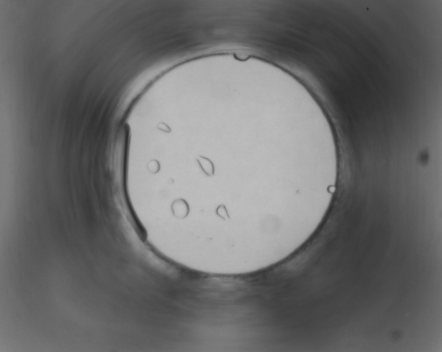 X0000115790910200912241829