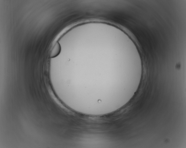 X0000115790911200912241829