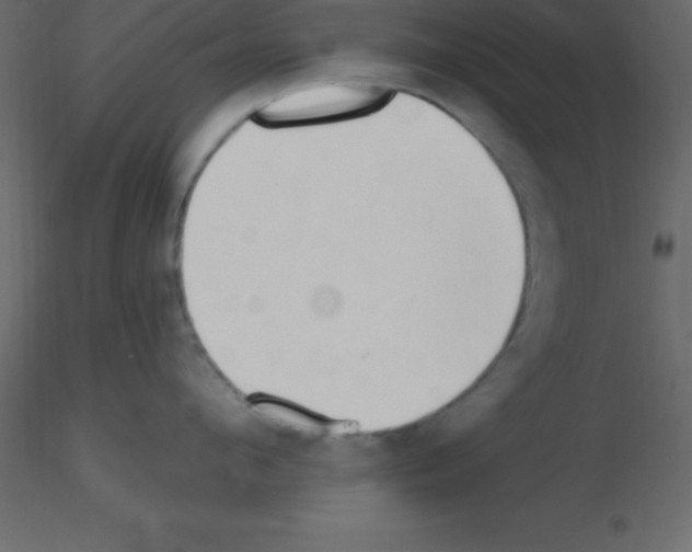 X0000115790912200912241829