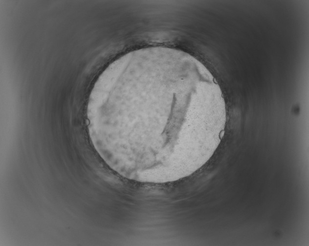 X0000115790913200912241828