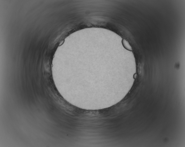 X0000115790915200912241828
