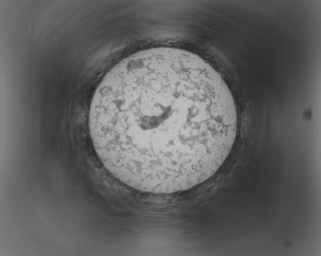 X0000115790917200912241828