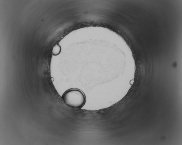 X0000115790918200912241828