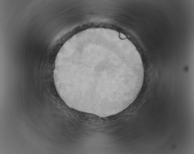 X0000115790919200912241828