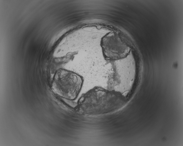 X0000115790921200912241828