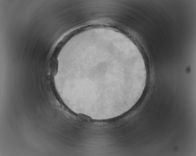 X0000115790923200912241828