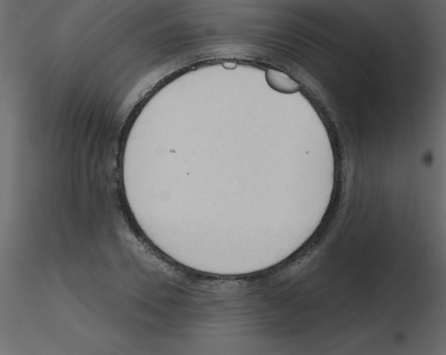 X0000115790930200912241828