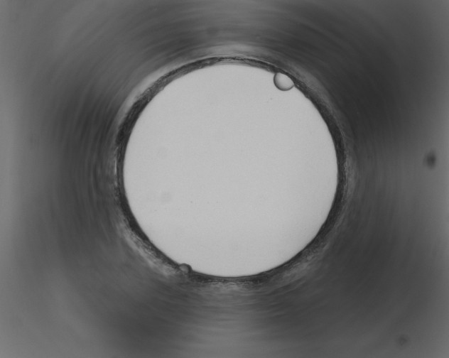 X0000115790931200912241828