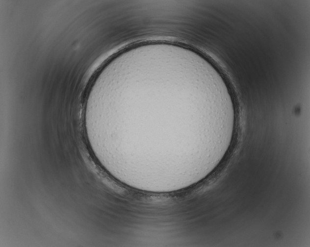X0000115790933200912241828