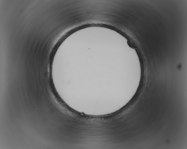 X0000115790934200912241828